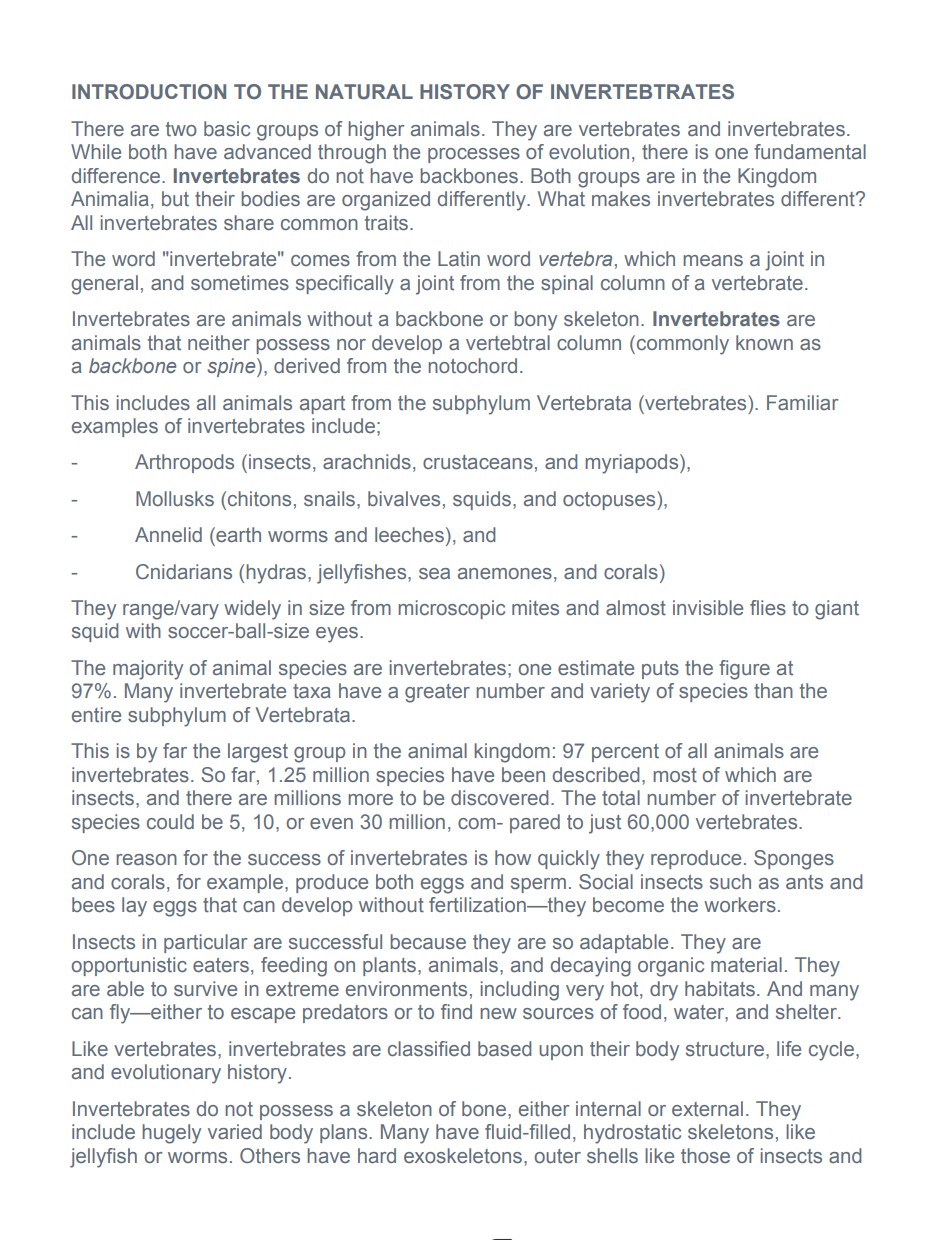 No preview available